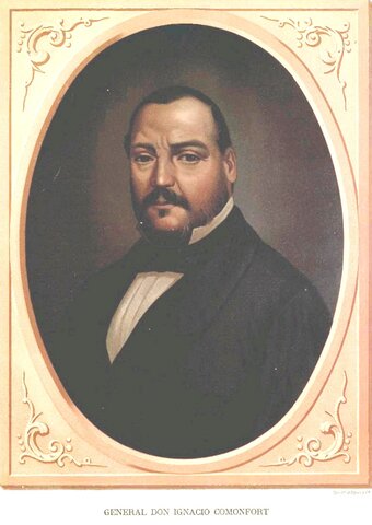 ESTATUTO ORGANICO DE COMONFORT