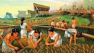 mesolitico e neolitico