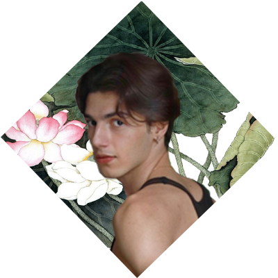 Timeline: A Vida de Antonn von Krovi