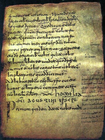 Nacimiento del Castellano ( glosas )