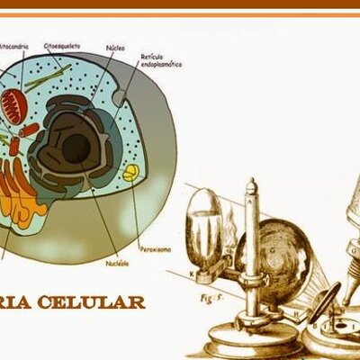 Timeline: Teoría celular