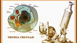 Timeline: Teoría celular