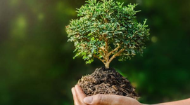 Timeline: Aportaciones a la Ecología