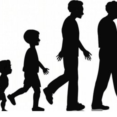 Timeline: La vida de una persona