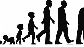 Timeline: La vida de una persona