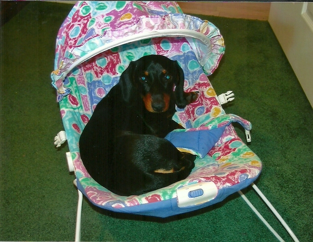 I Recieve a Lifelong Friend