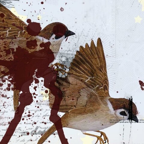 this is what the edge of your seat