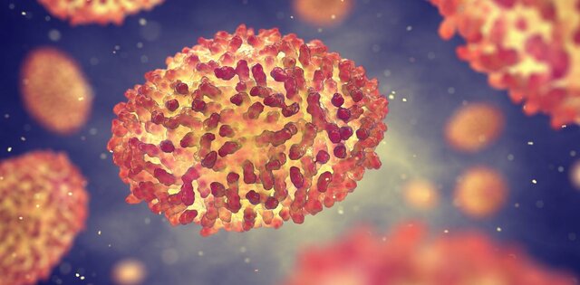 La OMS declara la erradicación de la viruela