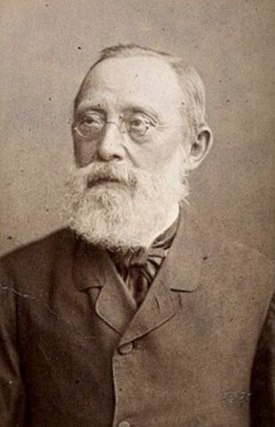 ¿De dónde proviene la célula?