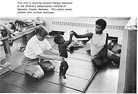 Handicapped Children's Early Education Assistance Act