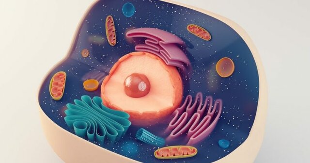 Nacimiento: Theodor Schwann.