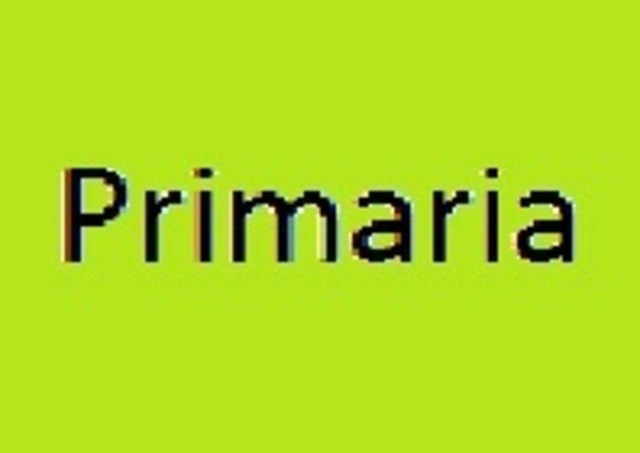 Primaria