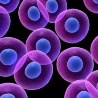 Timeline: Teoría Celular