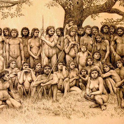 Timeline: L'arbre de l'evolució humana