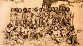 Timeline: L'arbre de l'evolució humana