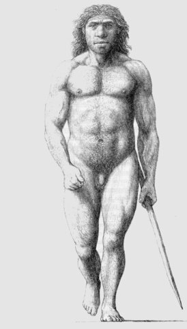 Homo Sapiens Neanderthalis