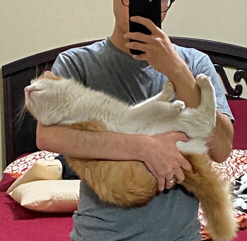 Vino el canche a mi vida