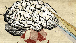 Timeline: La Psicología dentro de la Fisiología