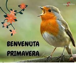 PRIMAVERA