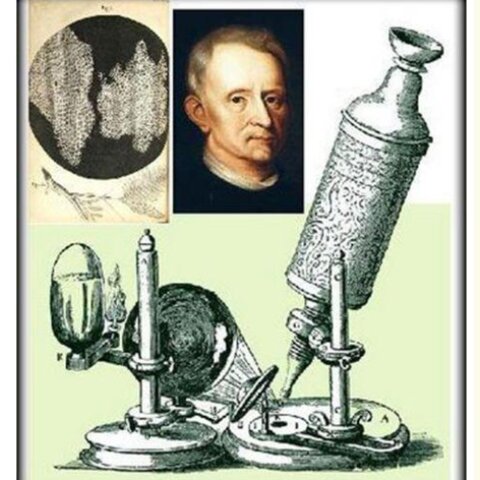 Robert Hooke