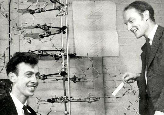 James Watson y Francis Crick