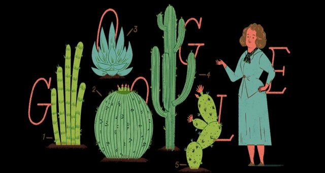 Bótanica mexicana