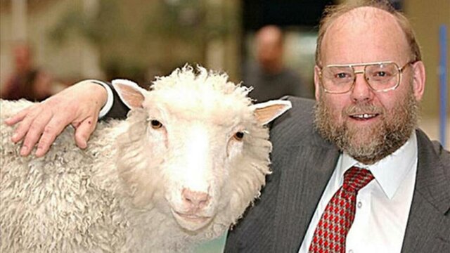 Clonación de la oveja Dolly
