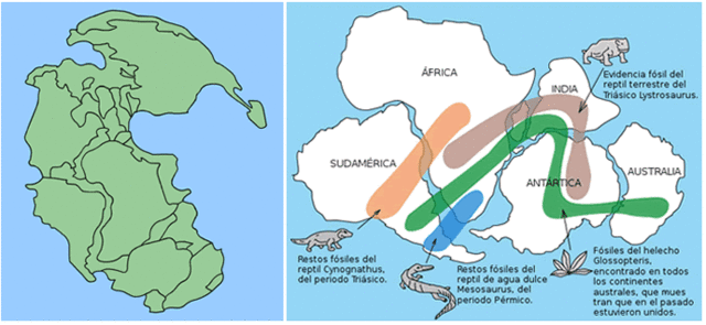 Comienzo de la tectónica de placas