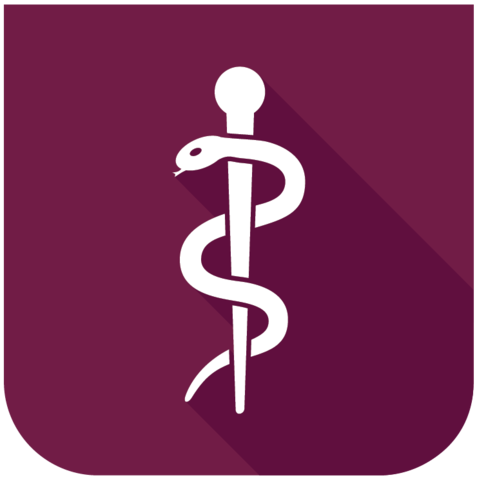 First Black Medical College