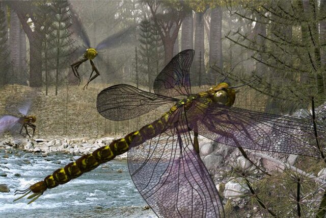 Primeros insectos terrestres