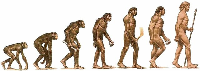 Aparición del género Homo