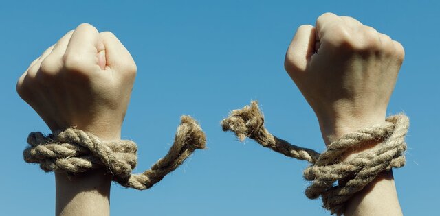 Declaraciones Francesas  y en Apatzingán