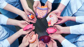 Timeline: Tr temps i organs