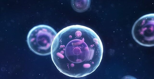 Rudolph Virchow: ¿de dónde proviene la célula?