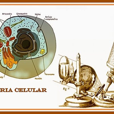 Timeline: La Teoría Celular