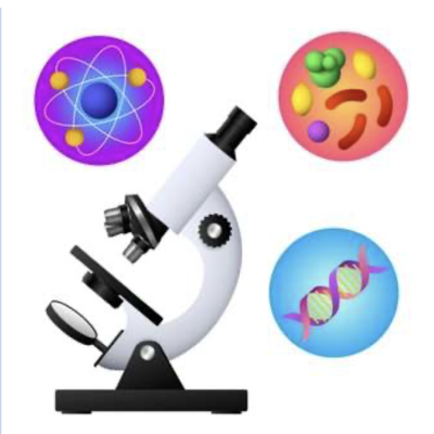 Timeline: Linea de tiempo ciencias naturales