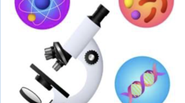 Timeline: Linea de tiempo ciencias naturales