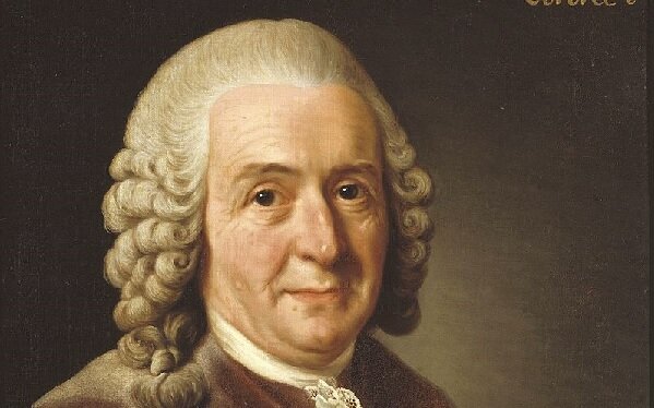 Carl von Linné.