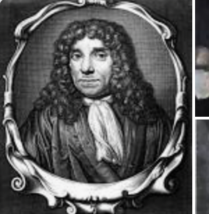 Anton Van Leeuwenhoek