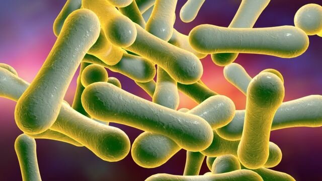 El descobriment de Microsporon diphtheriticum
