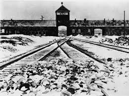 Auschwitz Liberated