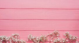 Timeline: MI HISTORIA