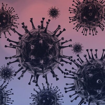 Timeline: CORONAVIRUS EN MÉXICO