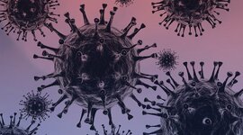 Timeline: CORONAVIRUS EN MÉXICO