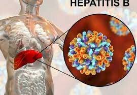 La creació de la vacuna contra hepatitis B