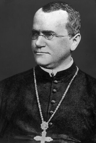 Gregorio Mendel