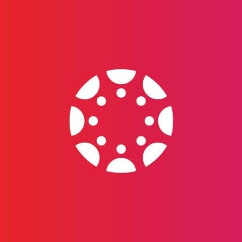 LMS Use During Bachelors degree