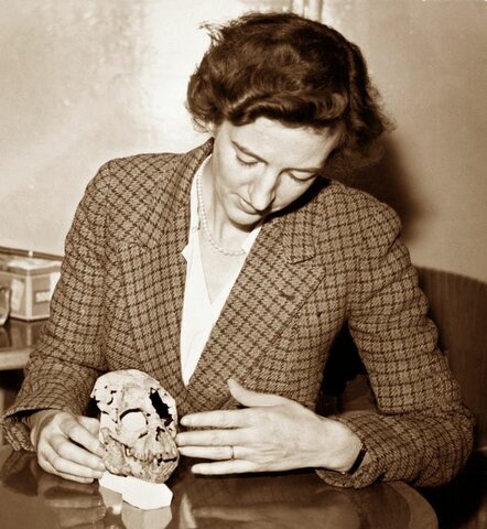 Mary Leakey's Big Discovery