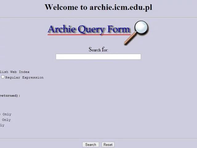 El primer buscador de Internet, se llama Wandex.