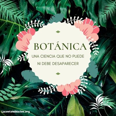 Timeline: Linea de tiempo sobre el aporte de diferentes personajes en el desarrollo de la Botánica Sistemática. (OJO: tócame y deslizame para saber qué digo).